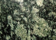Granit Vert Olive